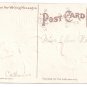 Turkeys with Rooster Vintage Thanksgiving Postcard