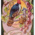Vintage Thanksgiving Greetings Embossed Postcard Turkey Grape Vine Gold Gilt Frame