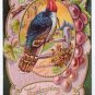 Vintage Thanksgiving Greetings Embossed Postcard Turkey Grape Vine Gold Gilt Frame
