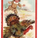 Signed Frances Brundage Pilgrim Boy Chasing Turkey Vintage Embossed Thanksgiving Postcard