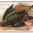 RJ Wealthy Vintage Thanksgiving Postcard Embossed Turkey Tuck