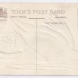RJ Wealthy Vintage Thanksgiving Postcard Embossed Turkey Tuck