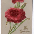 Velvet Add On Christmas Carnation Flower 1907 Vintage Christmas Postcard