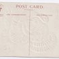 Turkey Embossed IAP Vintage Thanksgiving Postcard ca 1908