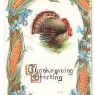 Turkey Framed with Corn Flowers Embossed Vintage Thanksgiving Postcard 1912 Turkey Framed with Corn Flowers Embossed Vintage Thanksgiving Postcard 1912