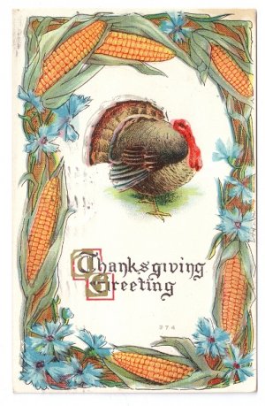 Turkey Framed with Corn Flowers Embossed Vintage Thanksgiving Postcard 1912