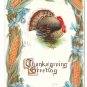 Turkey Framed with Corn Flowers Embossed Vintage Thanksgiving Postcard 1912