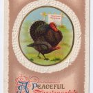 Peaceful Thanksgiving Proclamation Turkey Embossed Vintage Postcard