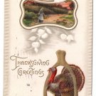 Turkey Wishbone Embossed Vintage Thanksgiving Postcard Meeker 1910