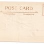 Child spilling Apples Vintage Thanksgiving Arts and Crafts JP NY Postcard