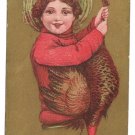 Gold Background Child Holding Dead Turkey Vintage Thanksgiving Postcard 1912