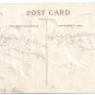Unsigned Clapsaddle Boys Catching Turkey Embossed Vintage Thanksgiving Postcard