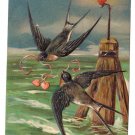 Swallows Buoy Hearts EAS Embossed Vintage Valentine Postcard