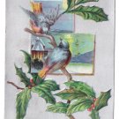 Birds Holly Branch Silver Vintage Christmas Postcard