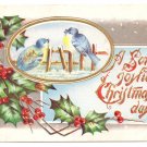 Blue Birds Singing on Fence Holly Embossed Gold Gilt Vintage Christmas Postcard