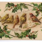 Birds Finches Framed with Holly Embossed Litho Vintage Christmas Postcard