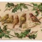 Birds Finches Framed with Holly Embossed Litho Vintage Christmas Postcard