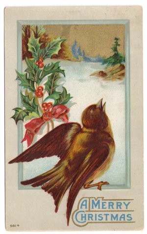 Wooded Scene Robin Holly Lightly Embossed Vintage Christmas Bird Postcard