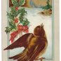 Wooded Scene Robin Holly Lightly Embossed Vintage Christmas Bird Postcard
