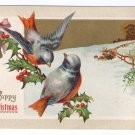 Blue Birds on Holly Bough  Embossed Litho Vintage 1910 Christmas Postcard