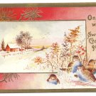 Birds Snowy Farm Scene Lightly Embossed Gold Trim Vintage Christmas Postcard