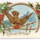 Christmas Bird Holly Winter Scene Embossed Gilt Vintage  Postcard