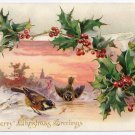 Merry Christmas Greetings Birds Insect Holly Embossed UND Tuck Vintage Postcard