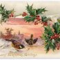 Merry Christmas Greetings Birds Insect Holly Embossed UND Tuck Vintage Postcard