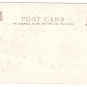 Merry Christmas Greetings Birds Insect Holly Embossed UND Tuck Vintage Postcard
