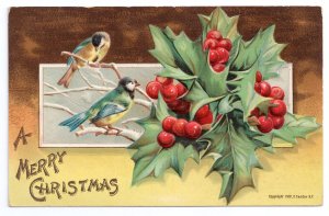 Birds Blue Jays Holly Embossed Vintage Christmas Postcard 1907 P. Sander