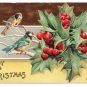 Birds Blue Jays Holly Embossed Vintage Christmas Postcard 1907 P. Sander