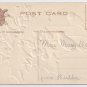 Birds Blue Jays Holly Embossed Vintage Christmas Postcard 1907 P. Sander