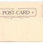 The Birches on the Charles Boston MA Woman Canoe Vintage Postcard