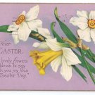 Narcissus Daffodil Vintage Easter Postcard Stecher 1930