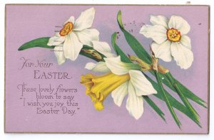 Narcissus Daffodil Vintage Easter Postcard Stecher 1930