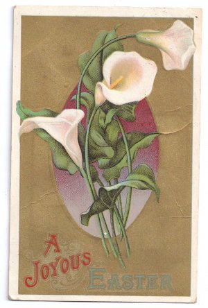 Calla Lilies Gold Embossed Vintage Easter Postcard 1910