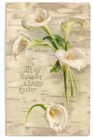 Calla Lilies Embossed UND Vintage Easter Postcard 1907