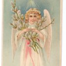 Angel Pussy Willows Embossed Antique Easter Postcard 1908