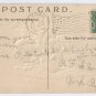 Angel Pussy Willows Embossed Antique Easter Postcard 1908