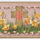 Daffodils Pussy Willows Embossed Gilt Vintage Easter Postcard 1909