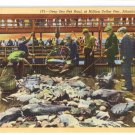 Deep Sea Net Haul Million Dollar Pier Atlantic City NJ Curteich 1940 Linen Deep Sea Net Haul Million Dollar Pier Atlantic City NJ Curteich 1940 Linen