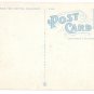 Deep Sea Net Haul Million Dollar Pier Atlantic City NJ Curteich 1940 Linen