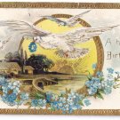 Doves Embossed Gilded Vintage Birthday Postcard Forget Me Nots