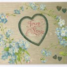 True Love Embossed Forget me nots Hearts 1908 Vintage Postcard