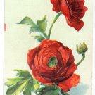 Embosssed Roses 1908 Vintage Birthday Postcard