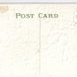 Embossed Roses Vintage Birthday Postcard