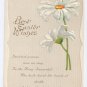 Embossed Vintage Easter Postcard Daisies