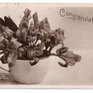 Rotograph 1907 Real Photo Congratulations B&W RPPC Iris Flowers