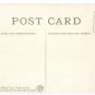 Chimpanzee Baldy Vintage Patriotic Postcard NY Zoological Park US Flag