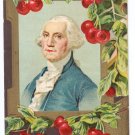 George Washington's Birthday Cherries Vintage Patriotic Postcard